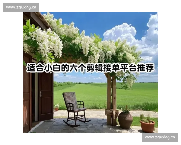 视频剪辑后期接单平台推荐如何选择最合适的接单途径与技巧